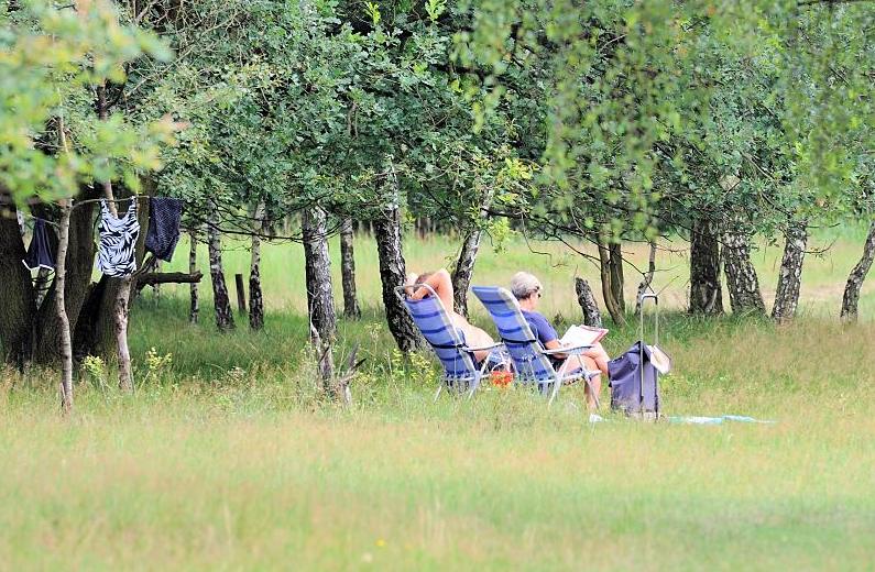 1777_5639 Wiese beim Badesee in der Boberger Niederung - Besucher in Campingstühlen im Gras - Bäume  | Naturschutzgebiet Boberger Niederung